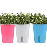 Govine 3点セット 自動貯水 植木鉢 多肉植物 散水ポット栽培植木鉢 花鉢 容器 園芸 ガーデニング ブルー ピンク ホワイト