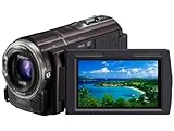 SONY HDビデオカメラ Handycam HDR-CX590V ボルドーブラウン