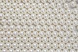 BiBi pearl 丸 穴なし パール パール p_n_0 (6ｍｍ 80個入り)