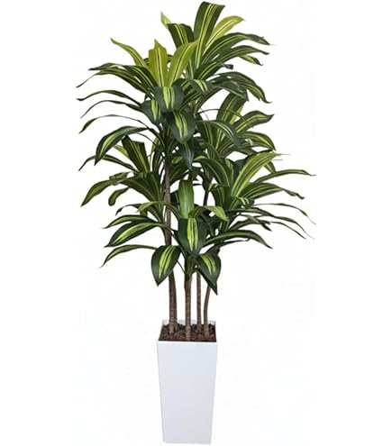 Amazon｜フェイクグリーン ゴムの木 150cm 1台 【 観葉植物 フェイク