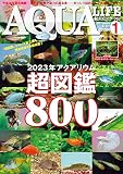 月刊アクアライフ 2023年01月号 2023年アクアリウム超図鑑800 ●特別付録●2023年特大両面ポスターカレンダー[雑誌]