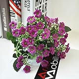 造花　ミラノの花　6本　レッドロータス