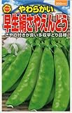 アタリヤ農園 ガーデニング用品 種 やわらかい早生絹さやえんどう