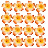 Perfk 全4色　かわいい　プルメリア　造花　フラワーヘッド　結婚式　披露宴　フラワーヘッド　プルメリア　パーティー　DIY手作業用　髪飾り　装飾 - オレンジ