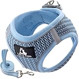 Lil&Fam 犬 ハーネス 胴輪 リードセット 身体に優しい 反射材付き メッシュ 小型犬 中型犬 猫 (ライトブルー, Mサイズ)