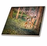 3drose Scenes from the Pastマジックランタンスライド – マジックランタンネイティブAmericans in the Woodsヴィンテージ – タイル 12-Inch-Ce