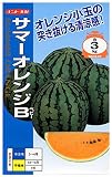 ナント種苗 サマーオレンジベビー(すいか)