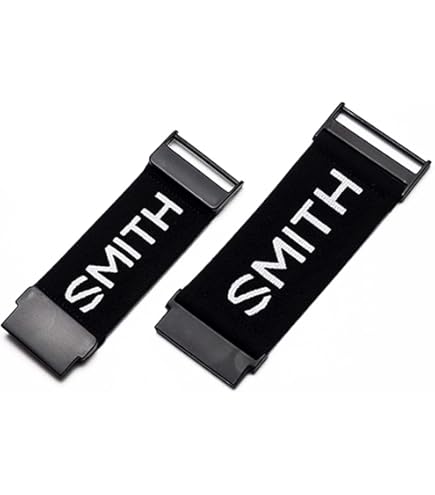 Amazon.co.jp: [スミス] スキー スノーボードゴーグル メンズ 調光