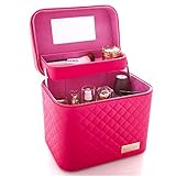 FYX 化粧品収納　収納ケース　コスメBOX メイク用品収納 小物入れ 大容量　鏡付き　取っ手付　携帯に便利 (ピンクⅠ)