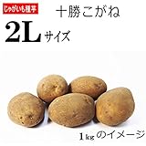 じゃがいも 種芋 十勝こがね 2L 5kg ジャガイモ
