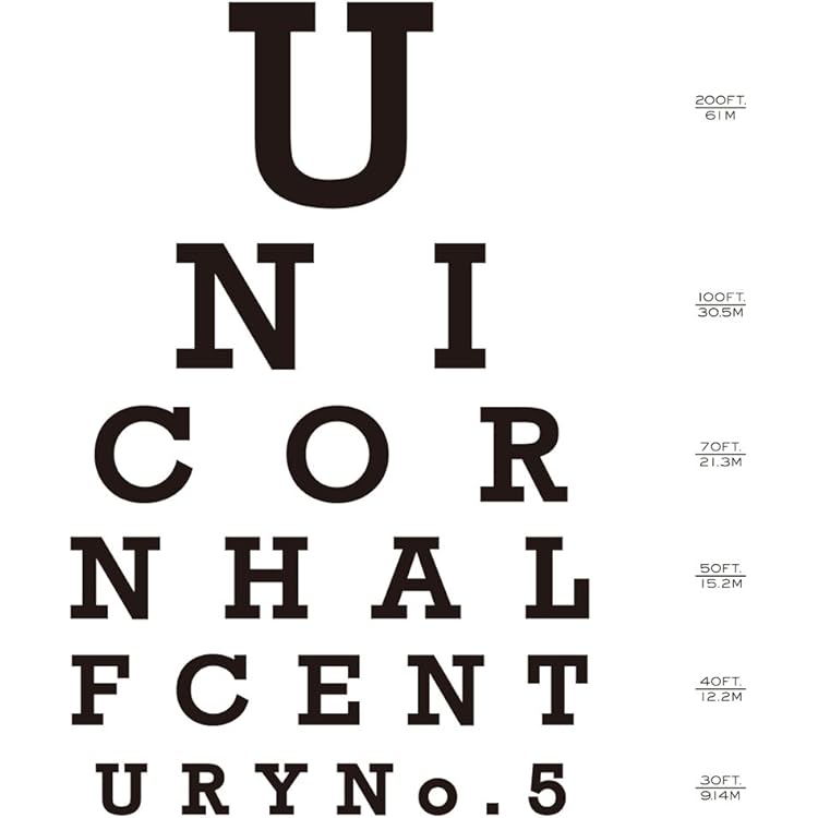 Amazon.co.jp: イーガジャケジョロ(初回生産限定盤) - ユニコーン (DVD