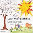 Look What I Can See: A Preschool Book that Teaches Colors, Shapes, Numbers, and Much More! (English Edition)