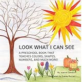 Look What I Can See: A Preschool Book that Teaches Colors, Shapes, Numbers, and Much More! (English Edition)