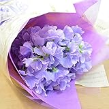 [エルフルール]生花 スイートピー花束 パープル系 フラワーギフト 花 ギフト プレゼント 誕生日祝い お祝い 贈り物