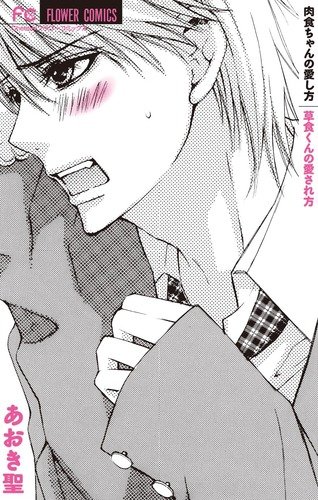 肉食ちゃんの愛し方 