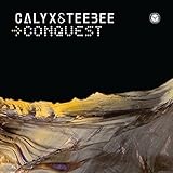 Conquest [12 inch Analog]