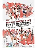 BBMラグビー日本代表カード2023 ([トレカ])