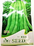【 珍種子】　海外産大型つるありインゲン豆の種　(20粒入)　