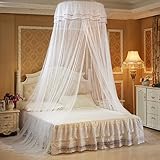 Peleustech Hanging Mosquito Netプリンセスベッドキャノピーネッティング、エレガントなレースドーム L FTQ9095130F2HW9269