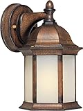 Forte Lighting 17076-01-41 Exterior Wall Light with Frosted Seeded Glass Shades, Rustic Sienna [並行輸入