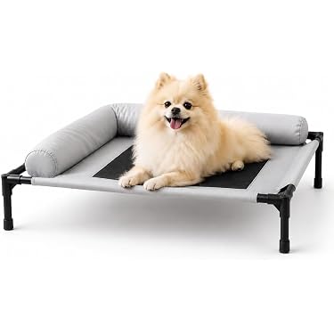 Amazon.co.jp 最新リリース: 犬用ベッド・クッション の新着ランキング