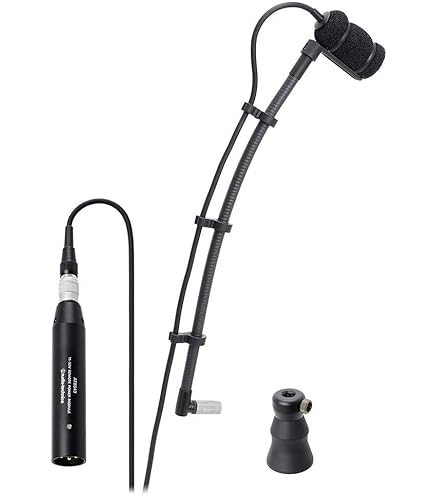 Amazon.co.jp: JTS (ジェーティーエス) 管楽器用コンデンサマイク CX