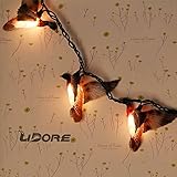 LIDORE 10 Counts Christmas Tree Lights Flying Mallard Duck Decoration Lights. Warm white Holiday par