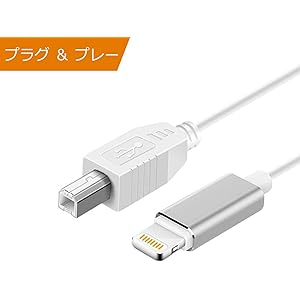 iPhone iPad MIDI ケーブル ライトニング USB b 変換 ケーブル USB 2.0 MIDI キーボード 電子キーボード 電子ギター連続 リズム再生 ヒーリング 編曲 電子琴 接続可能 ライトニング USB Type B 変換 ケーブル (ホワイト)