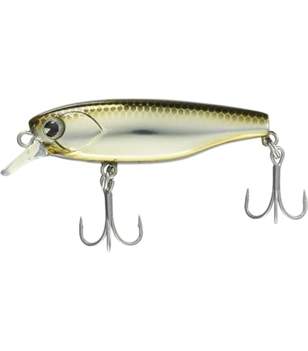 Amazon | Fishman(フィッシュマン) BEAMS RIPLOUT 7.8ML BR78ML