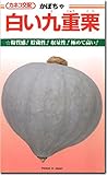 カボチャ 南瓜 種子 白い九重栗 50粒 かぼちゃ