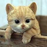 野川農園茶トラねこ(ひっかけ)
