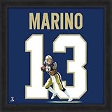 Dan Marino Pittsburgh Panthers 20 x 20 Framed Uniframe Jerseyフォト