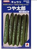 つや太郎 タキイのキュウリ種です