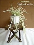 ちょこっとおいてこっそり消臭！■スパニッシュモス 【造花】【ミニ観葉植物】【CT触媒】