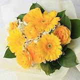 KOBE Flower smith ReiRi　送料無料 お手頃価格のプチブーケ　イエロー