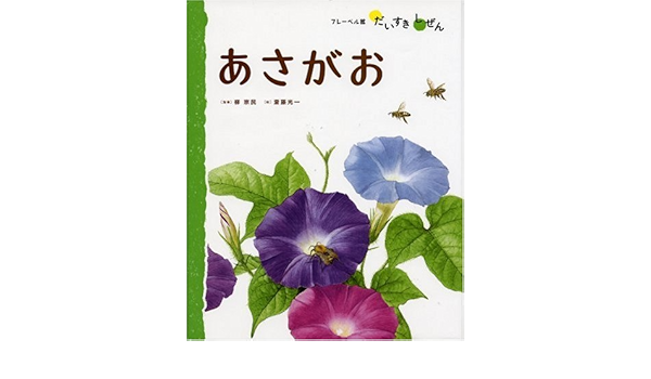 あさがお フレーベル館だいすきしぜん しょくぶつ 光一 斎藤 宗民 柳 本 通販 Amazon