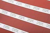 Pantone Fhi TPGページs13