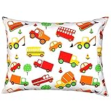 YourEcoFamily Toddler Pillow-14x19,Certified ORGANIC Shell w/Organic Cotton PillowCase -Soft,Colourf