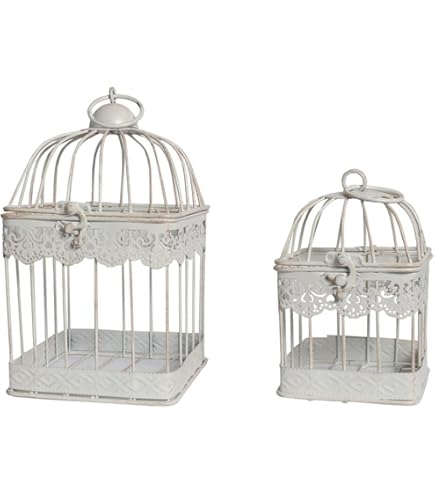 51uD8sMgCFL._AC_UL495_SR435,