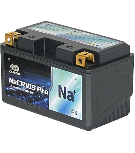Amazon | SHORAI LFX バッテリー LFX19A4-BS12 | バイクバッテリー
