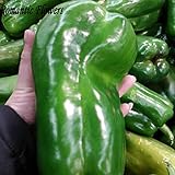 100pcs Pepper Seeds Giant Marconi Mixed Sweet Pepper, DIY Family Garden Seed