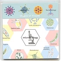 Amazon.co.jp: STUDY HOLIC クリアカバー付箋【人類生物学