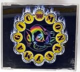 モンキーマジック 1999