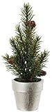asca クリスマス 飾り ミニパインツリー ポット付き AX68141-000
