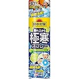 【9個セット】熱中対策 服の上から極寒スプレー シトラスミント 330ml
