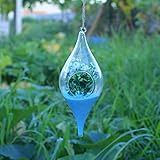 TOPmountain 創造的 オリーブ形 透明ガラス花瓶 ハンギング用装飾品 花植物ポットコンテナ