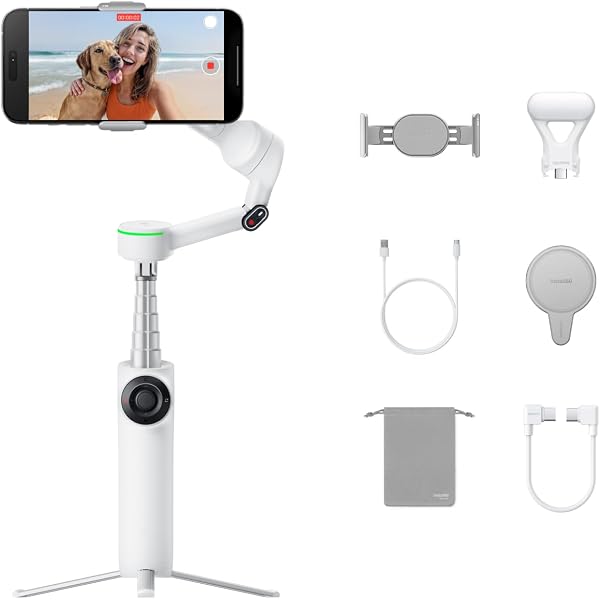Amazon.co.jp: Insta360 Flow 2 Pro/Flow 2 キャリーケース : 家電＆カメラ