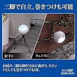 後藤:LEDどこでもセンサーライト防雨型 809994