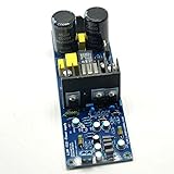 IRS2092 IRFB4019用L15D-POWER 300W 4Rモノラルアンプボードアンプ完成品