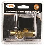 IIT 10200 Air Regulator with Gauge by IIT